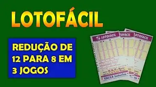 Lotofácil Com Redução de 12 Para 8 Dezenas Em 3 Jogos Confira a Dica