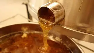 Early Honey Harvest, 60 Pounds!