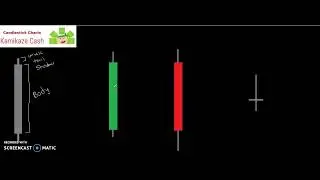 Candlestick Charts for Beginners Pt. 1 : Wall Street Bets