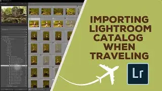 Mastering Travel Catalogs in Pet Photography: An Easy Guide to Importing Images in Lightroom