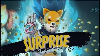 Shytoshi Kusama Just Said This In The Discord: NEW UPDATES