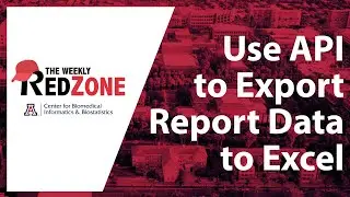 REDZone - Use API to Export Report Data to Excel