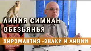 Тайны обезьяньей складки. Линии Симиан. Доклад на Всеукраинской конференции хиромантов. Ч. 1