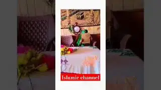 Hara gumband to dakho ga zamana bhol jo ga