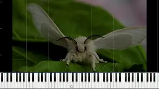[MIDI] Flëur - Шелкопряд (минус) / караоке в субтитрах (CC)