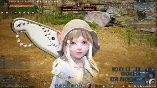 BDO Indonesia (Mencoba Login Kembali)