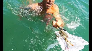MANGROVE SNAPPER And BLUE CRAB Catch Clean And Cook!  Strangest way to Catch Blue Crabs ever!