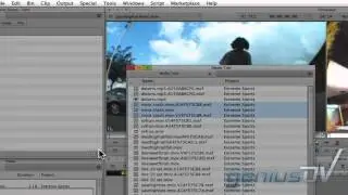 Avid Media Composer Media Tool