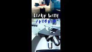 Parts of the Microscope