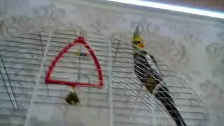 Мой друг
