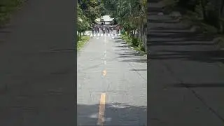 ¡LAS GUERRILLAS URBANAS YA ESTÁN EN MEDELLÍN! MINGAS ARMADAS ESTÁN TOMANDO ANTIOQUIA ¡INDEPENDENCIA!