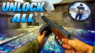 HOW TO GET MAX LEVEL AND UNLOCK ALL IN COD WAW PLUTONIUM