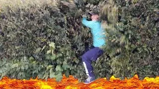 ПОЛ ЭТО ЛАВА