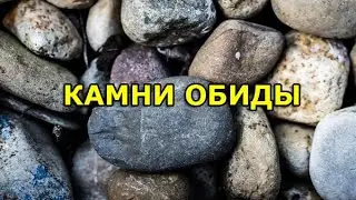 КАМНИ ОБИДЫ. Курс по детоксикации мозга от Кэролайн Лиф.