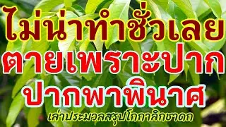 ไม่น่าทำชั่วเลย ตายเพราะปาก ปากพาพินาศ_เล่าประมวลสรุปโกกาลิกชาดก