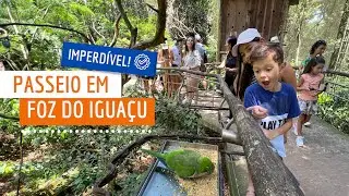 Bird Park: A Must-See Outing | You have to go