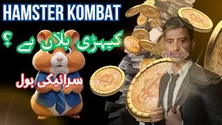 Hamster kombat coin | Hamster kombat | Saraiki Bol