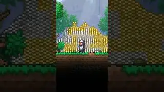 Best Way To Get Money In Terraria! Ft.@ImLoaff #terraria #mrbeast #money #gaming