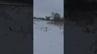 #охотанауток #охотанагуся #охота