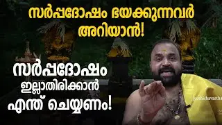 സര്‍പ്പദോഷം ഭയക്കുന്നവര്‍ അറിയാൻ! സർപ്പദോഷം ഇല്ലാതിരിക്കാൻ എന്ത് ചെയ്യണം!