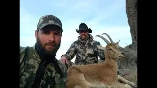 March 2018 New Mexico Nanny Ibex and Javelina Hunt