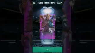 Получил Очокочи с 10 блоков данных 🥳 