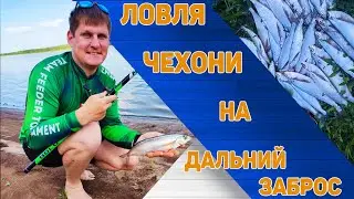 Ловля чехони на дальний заброс на реке Кама. Рыбалка на чехонь на поплавок.