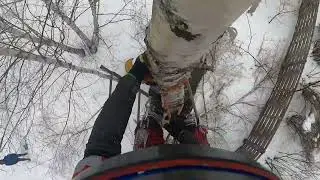 Удаление дерева без завешивания веток и ствола