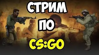 Играем в CS:GO!Заходи!