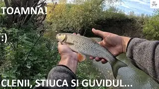 🎣🌤️ Clenii, stiuca si ... guvidul! Pescuit cu naluci, toamna 🌤️🎣