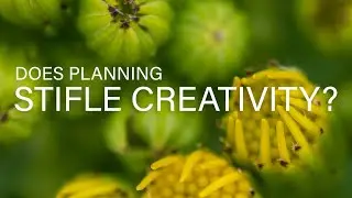 Landscape and Nature Photography | Does Planning Stifle Creativity