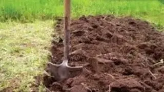 Копать/пахать или не копать (минимальная и нулевая обработка почвы)