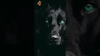 ❤️Шаг в темноту❤️