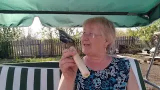 3 июня.Посадка томатов в открытом грунте//Прогулка по огороду 😊