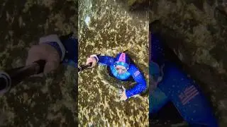 Andaman island , fish tunnel coralrif