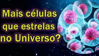 A TERRA ABRIGA MAIS CÉLULAS DO QUE  ESTRELAS NO UNIVERSO!