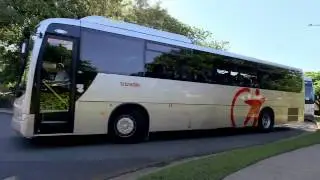 Who is Transdev - Queensland (Bus and Ferry)?