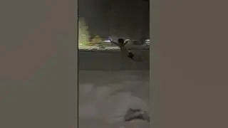 Kid CHASING SANTA CLAUS - Barefoot in the Snow 