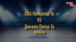 СКА Петергоф 14 - Динамо Питер 14, 06.04.24