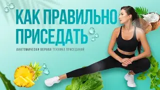 Как правильно приседать. Правильная техника приседаний дома. Приседания в домашних условиях