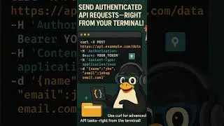 Send API Requests with curl! (Linux Dev Hack) 🔑📦