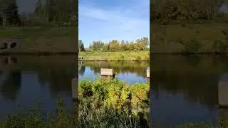 Дубна. Баржа на подходе к шлюзу.#shorts