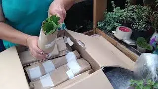 📦🎉Посылка-подарок от Виктории💃💃💃