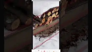 Обучаю фотографии по коротким видео 