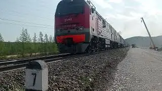 Товарняк под Тындой