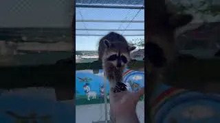 Traveling #travel #pedro #holiday #vacation #zoo