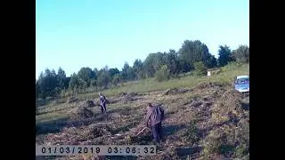 Сенокос в фотоловушке. д. Кувакино.