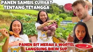 MY HUSBAND CRIED OUT OF COMMENTS ON HIS GARDEN BY THE NEIGHBOR | HARVESTING JUMBO RED BEETS