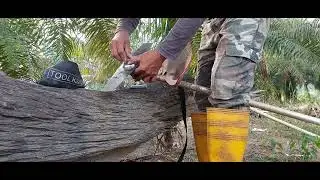 mesin rumput 4 stroke tanpa 2t mekitor semak tebal