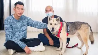 2021毛起來愛「浪牠有個家」 救助計畫 －瘦子E.SO篇 完整版